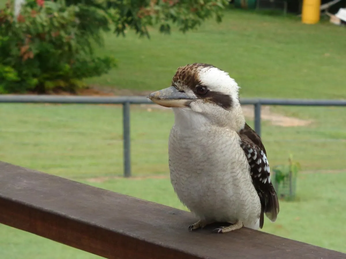 Eumundi Cottages - Cottage 2 Bed & Breakfast